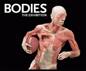 bodies1