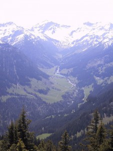 641097755_98119e65cf