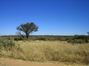 tripadvisor.com torizia1987