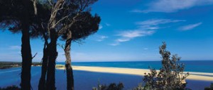 90milebeach_gip_r_03035_350x150