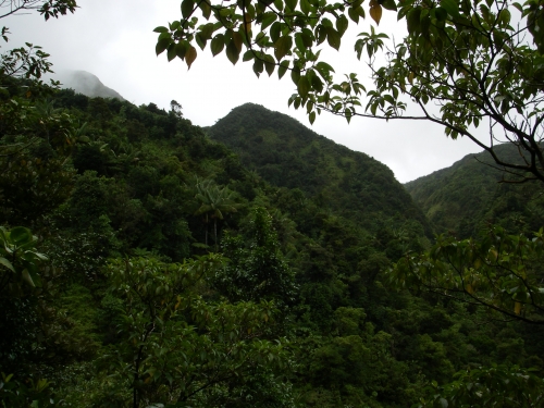 ¿En busca de un discreto paraíso natural en el Caribe? Dominica, en las islas de Barlovento 6