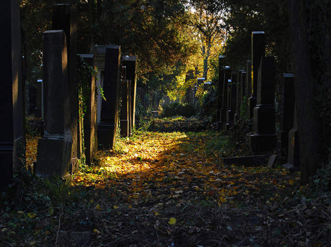 Viejo cementerio judío de Zentralfriedhof, en Viena