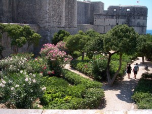 Dubrovnik-BS-101